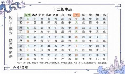 長生十二表